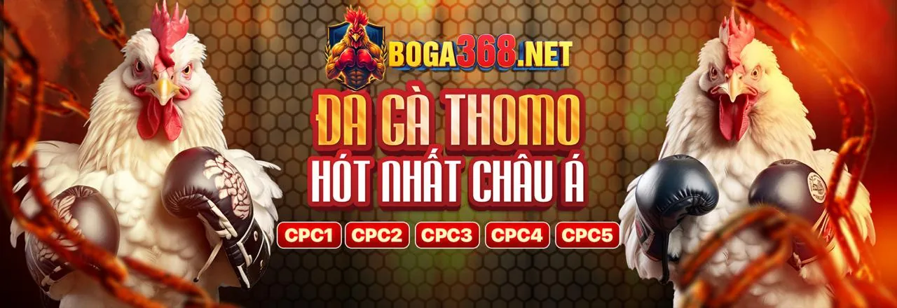 Đá Gà Trực Tuyến 68win10.com